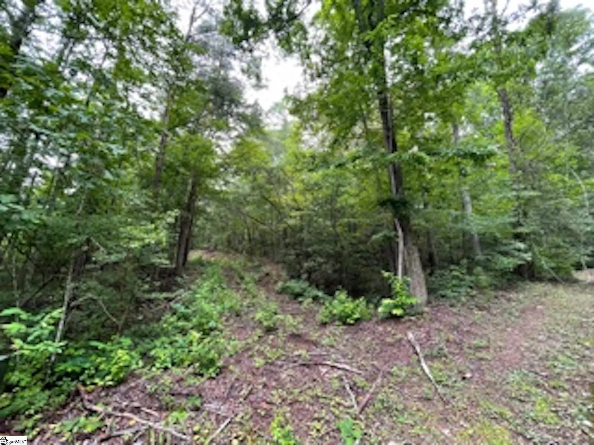 Property image 4 at 17 Queensmoor Road, Travelers Rest, SC 29690