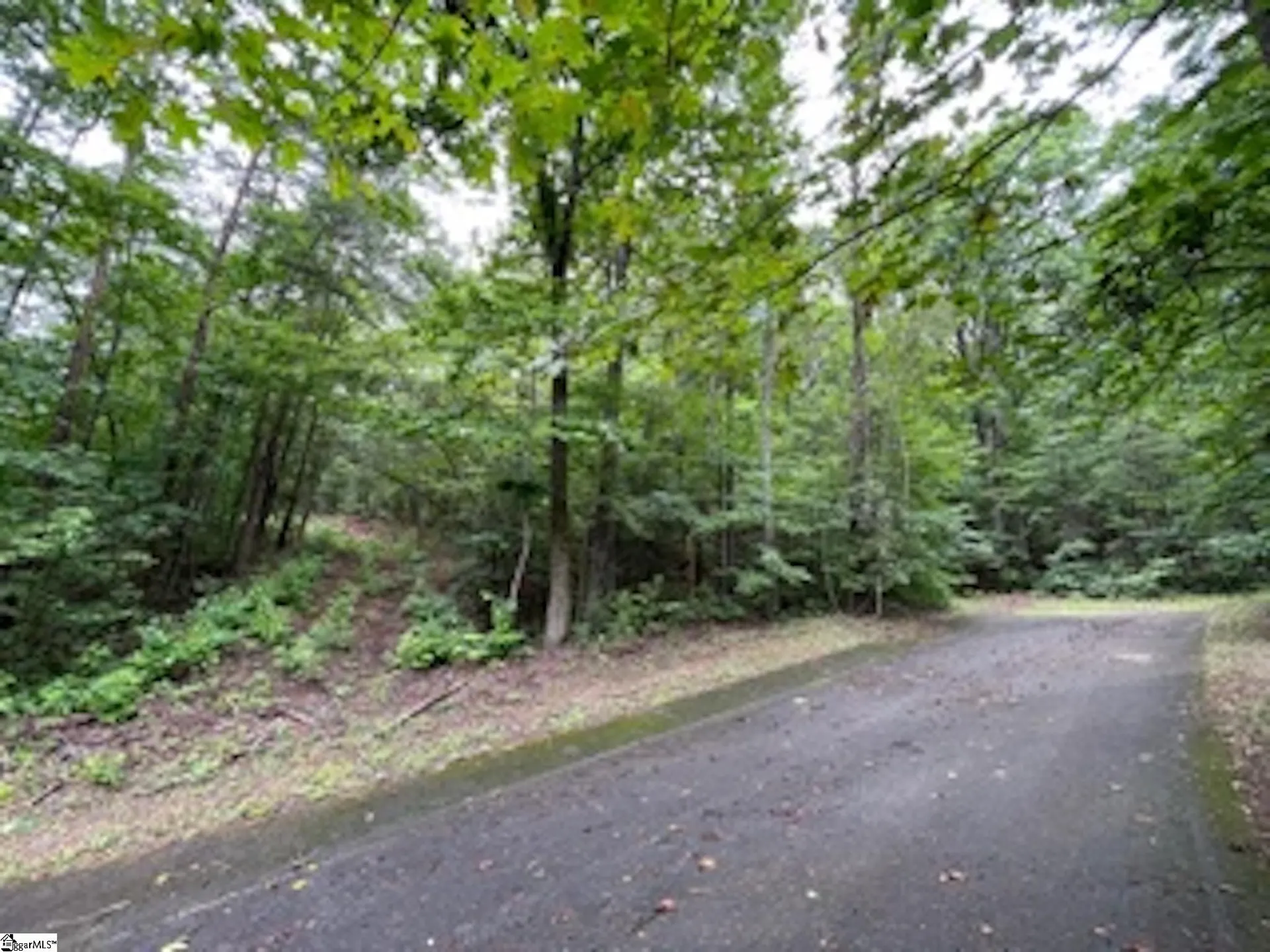 Property image 5 at 17 Queensmoor Road, Travelers Rest, SC 29690