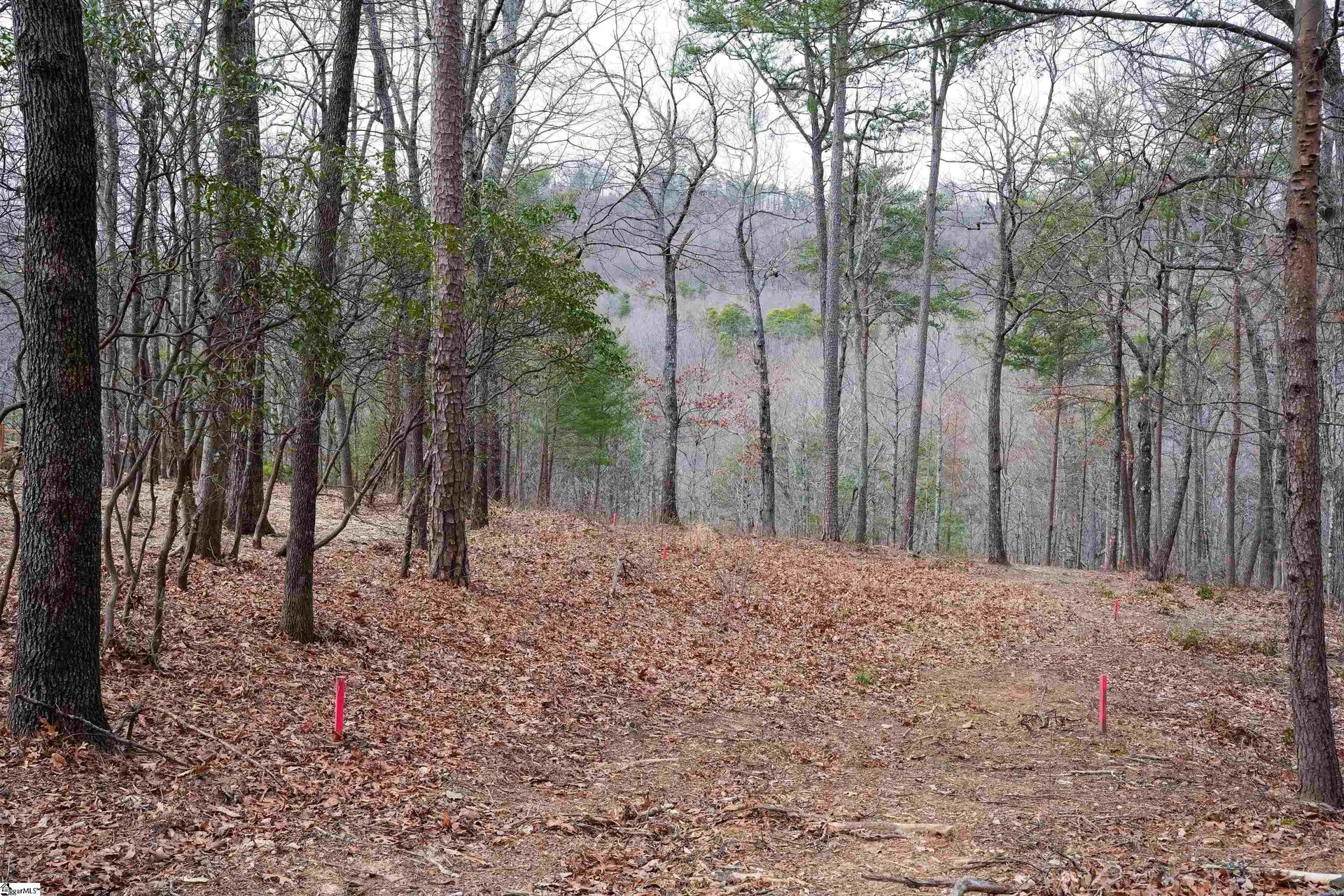 44 Mountain Oak Lane