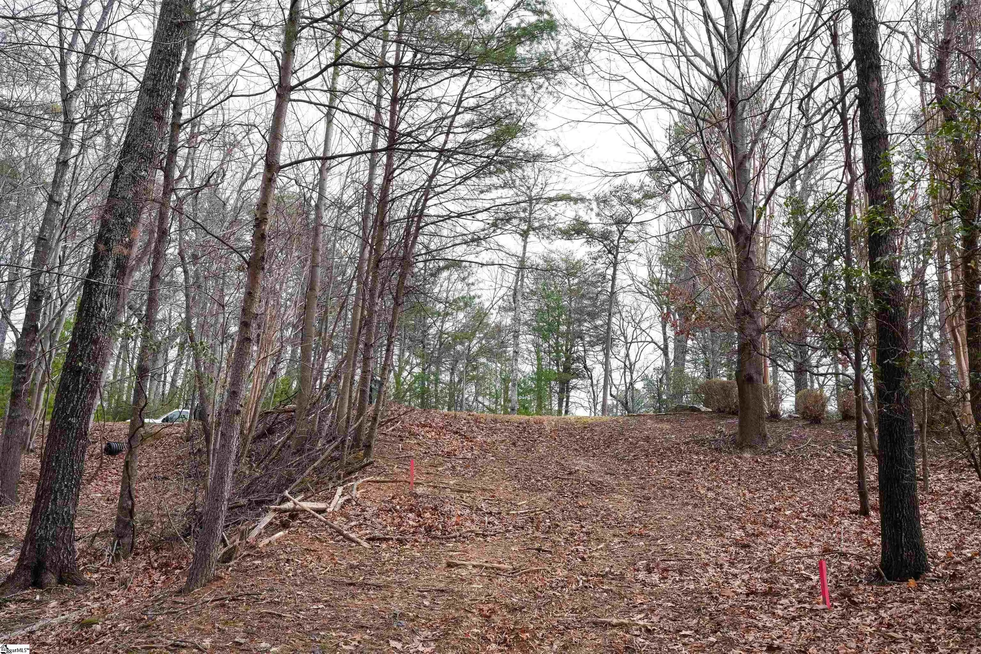 Property image 4 at 44 Mountain Oak Lane, Travelers Rest, SC 29690