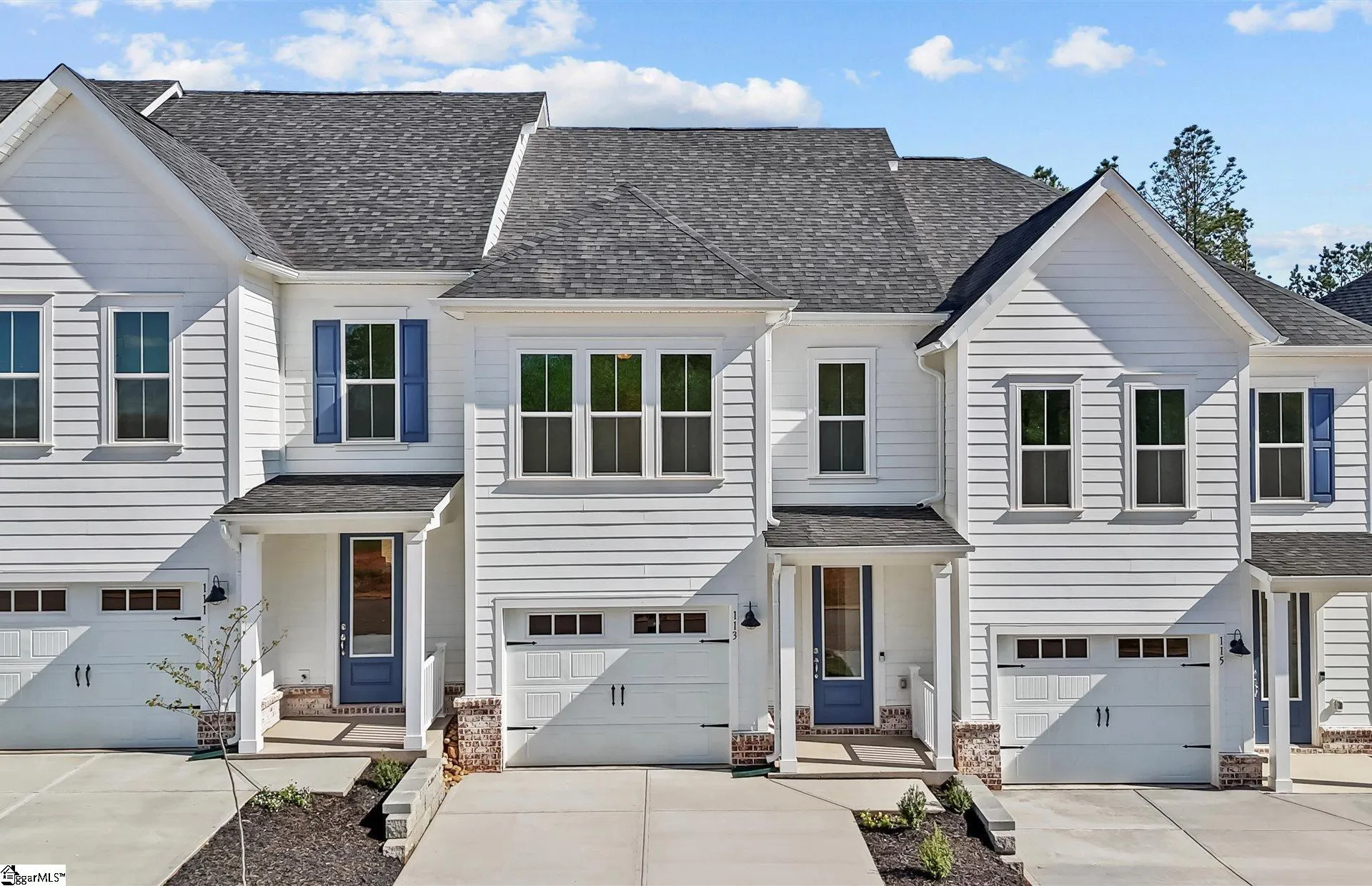 Alston Park, Greenville Community