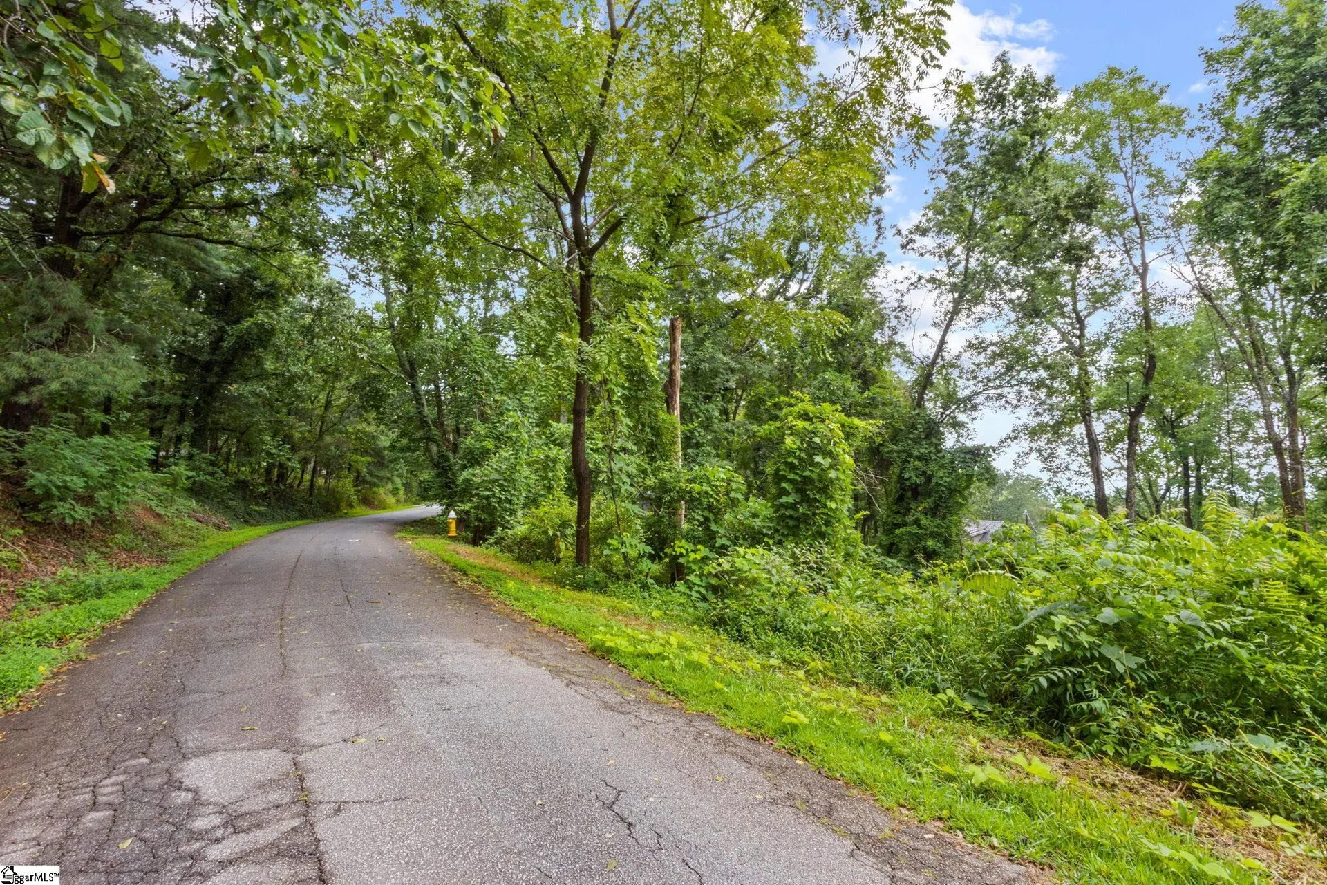 Property image 3 at 4841 Chestnut Ridge Road, Greenville, SC 29609