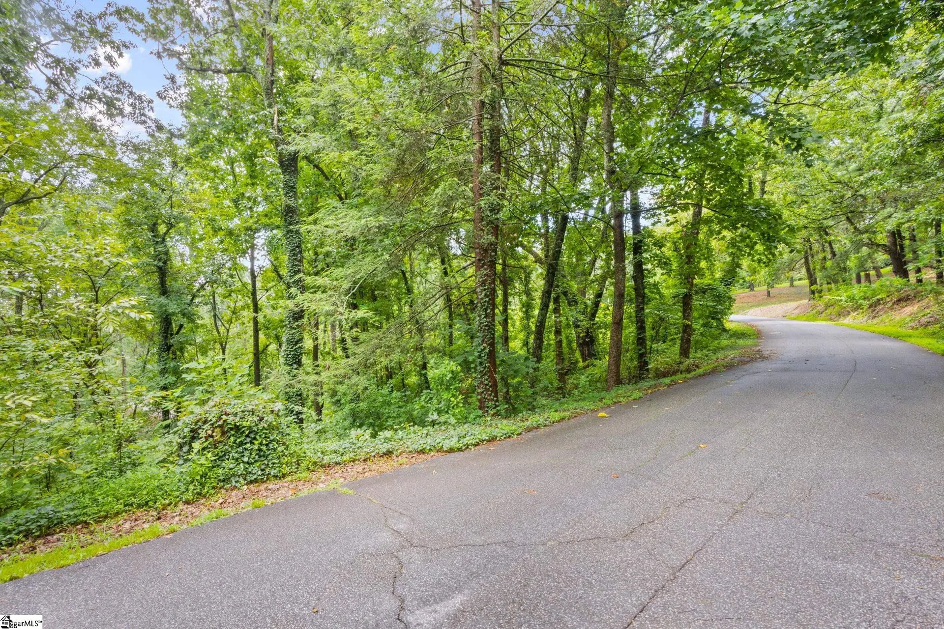 Property image 4 at 4841 Chestnut Ridge Road, Greenville, SC 29609