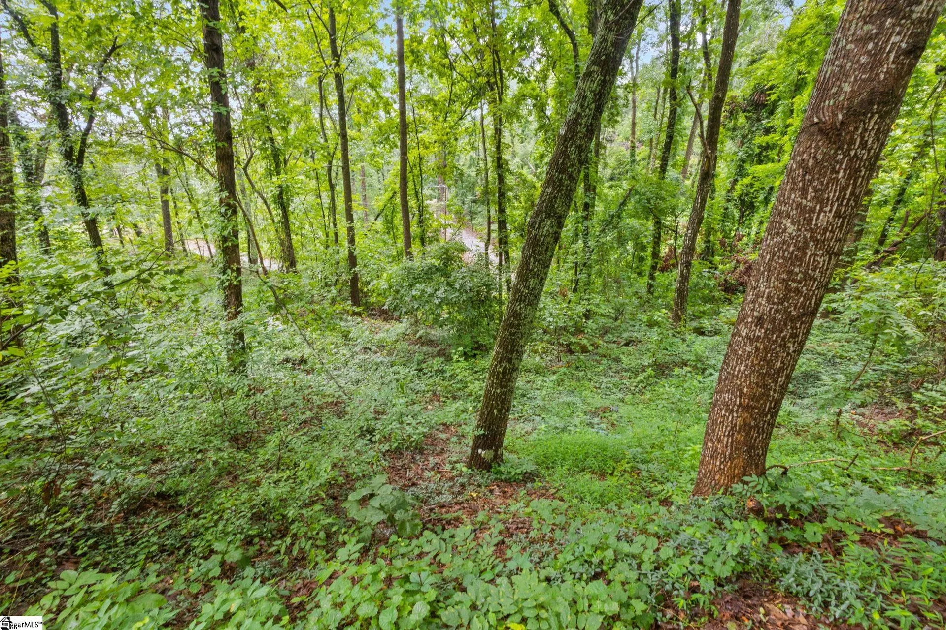 Property image 5 at 4841 Chestnut Ridge Road, Greenville, SC 29609