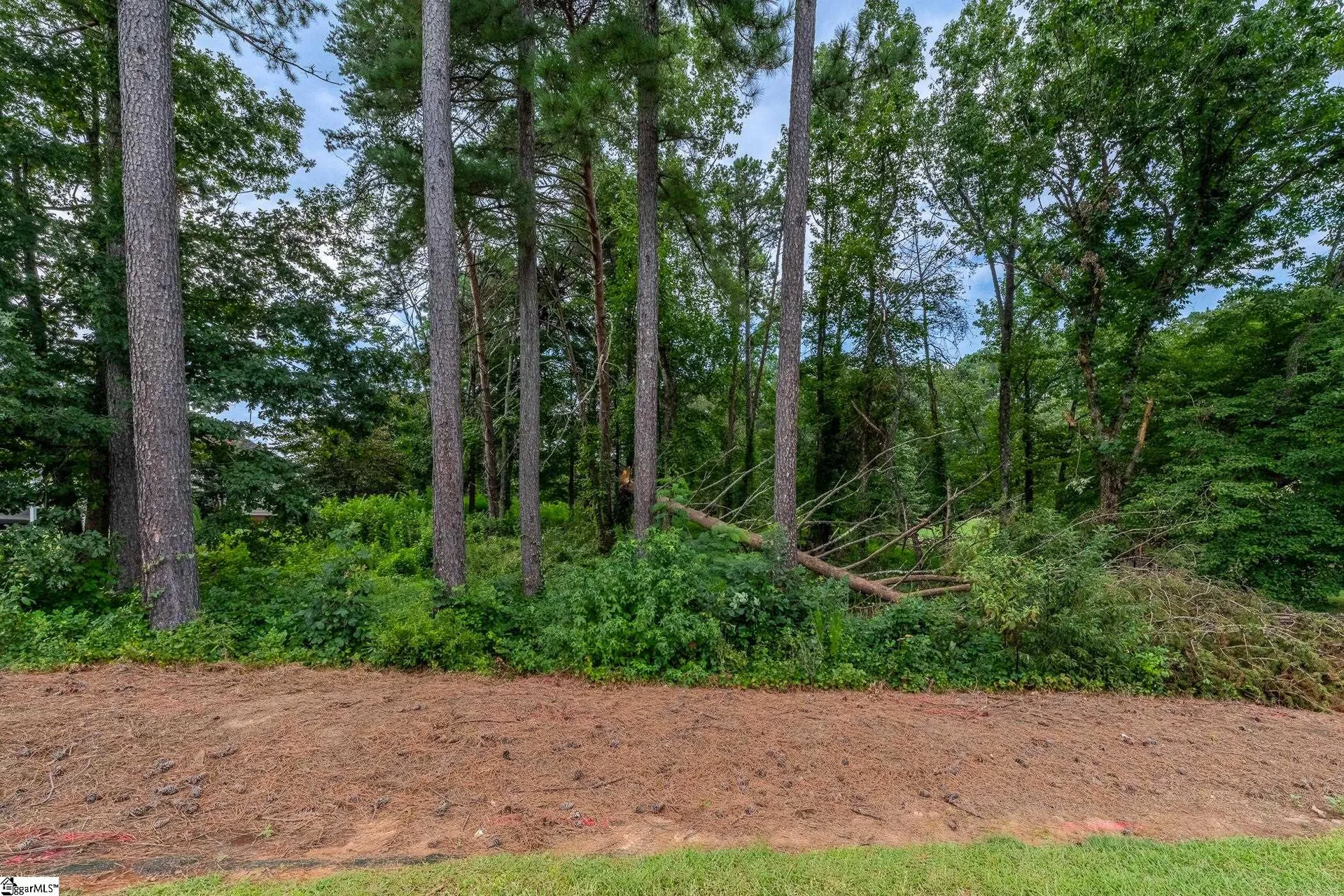 Property image 3 at 6 Laurelcrest Lane, Travelers Rest, SC 29690