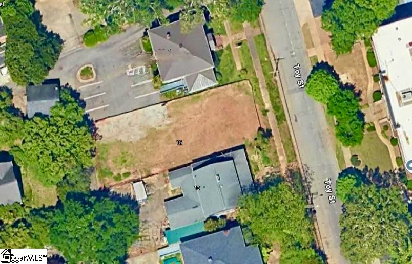 Pettigru Historic, Greenville Community