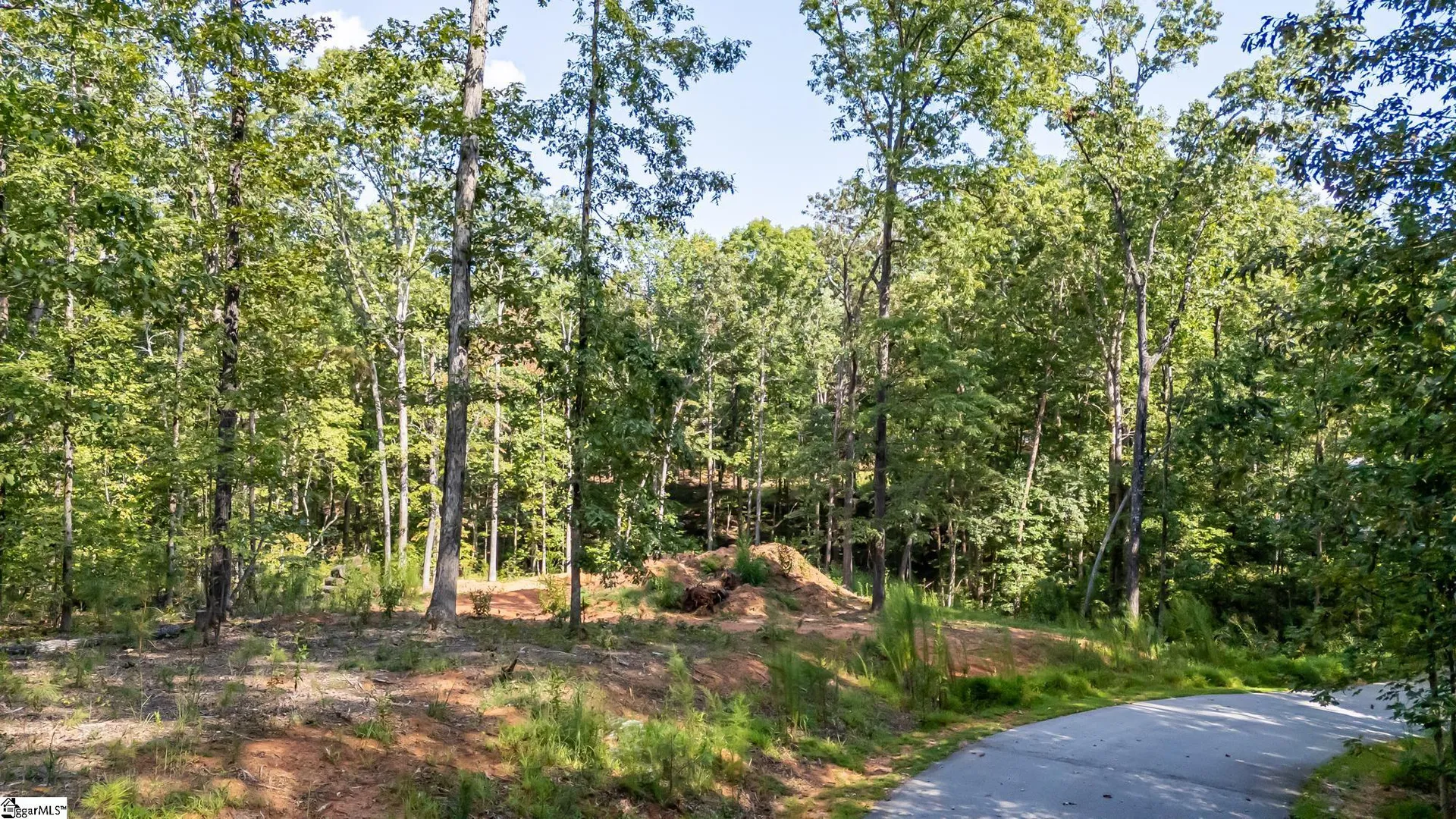 Property image 2 at 6004 Glassy Water Way, West Union, SC 29696