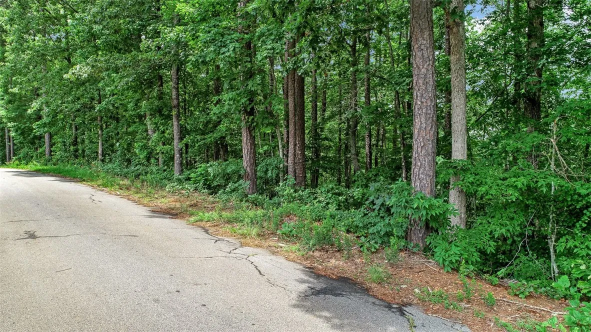 Property image 2 at 00 Left Fork Road, Pickens, SC 29671