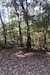 Property image 2 at 318 Lakeshore Drive, Fair Play, SC 29643