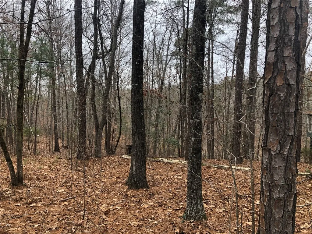 Property image 2 at 22 Mainsail Drive, Salem, SC 29676