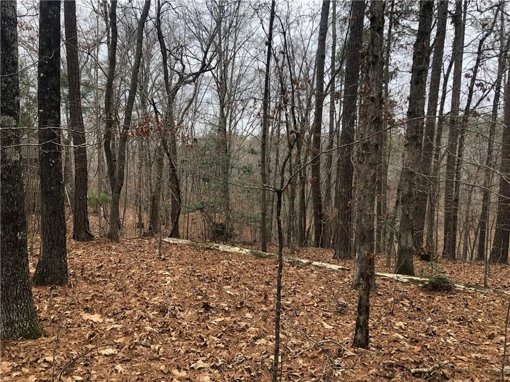 Property image 5 at 22 Mainsail Drive, Salem, SC 29676