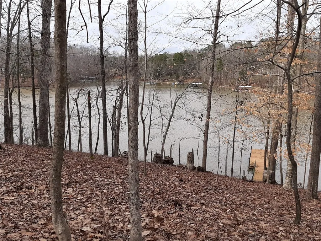 Property image 3 at 18L Greystoke Cove, Seneca, SC 29678