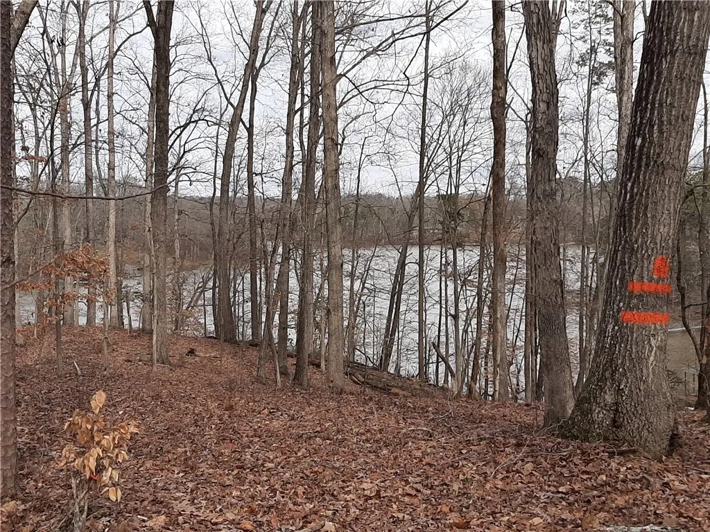 Property image 3 at 19L Greystoke Cove, Seneca, SC 29678
