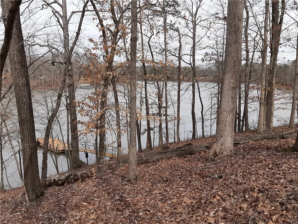 Property image 5 at 19L Greystoke Cove, Seneca, SC 29678