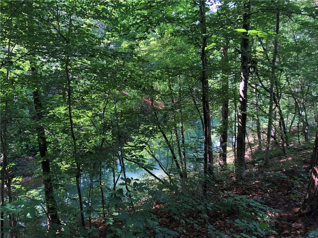 Property image 3 at Lot 2 Ellenburg Road, Seneca, SC 29672