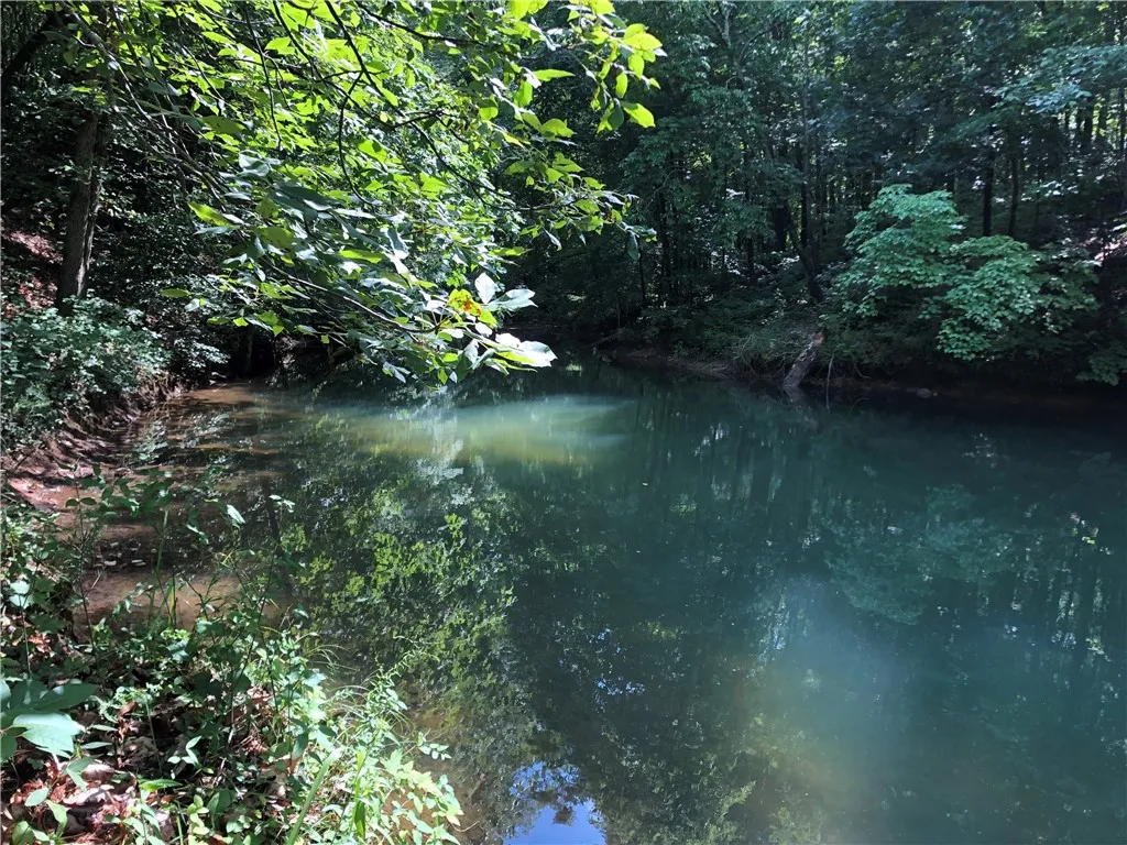 Property image 5 at Lot 2 Ellenburg Road, Seneca, SC 29672