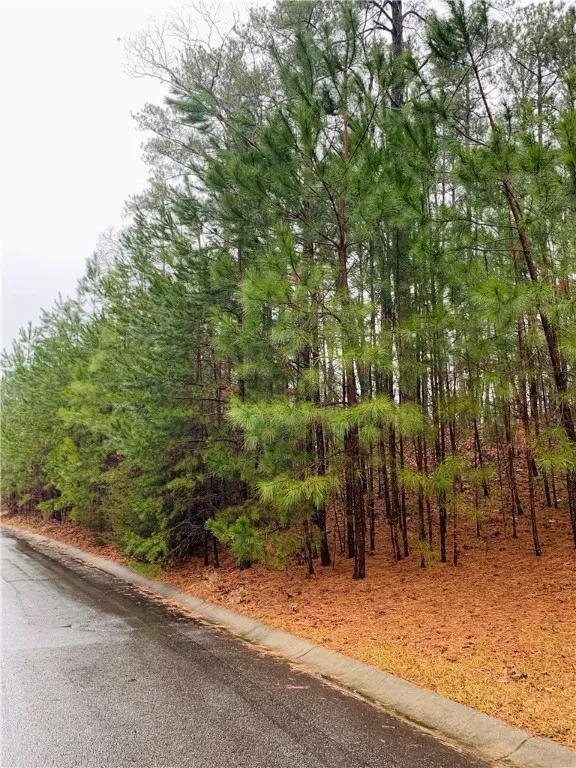 114 Bartram Trail