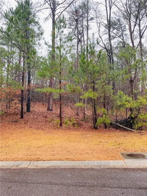 Property image 2 at 114 Bartram Trail, Central, SC 29630