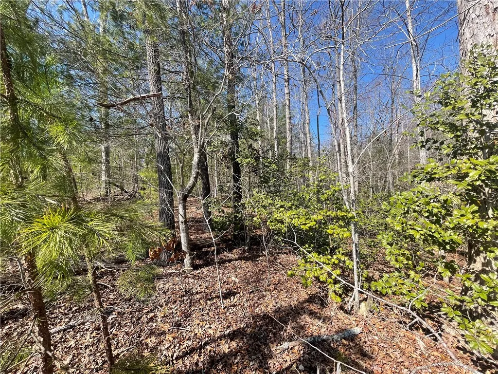 Property image 5 at Lot 20 Falcons Lair West Drive, Walhalla, SC 29691