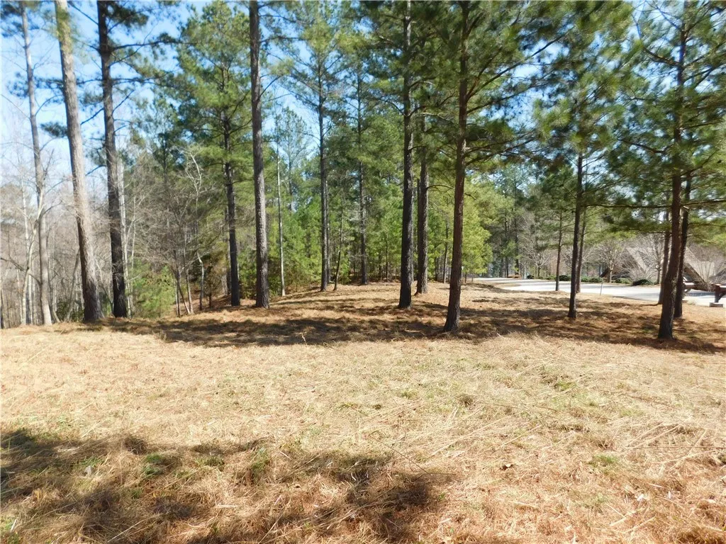 Property image 3 at 330 Knollwood Drive, Salem, SC 29676