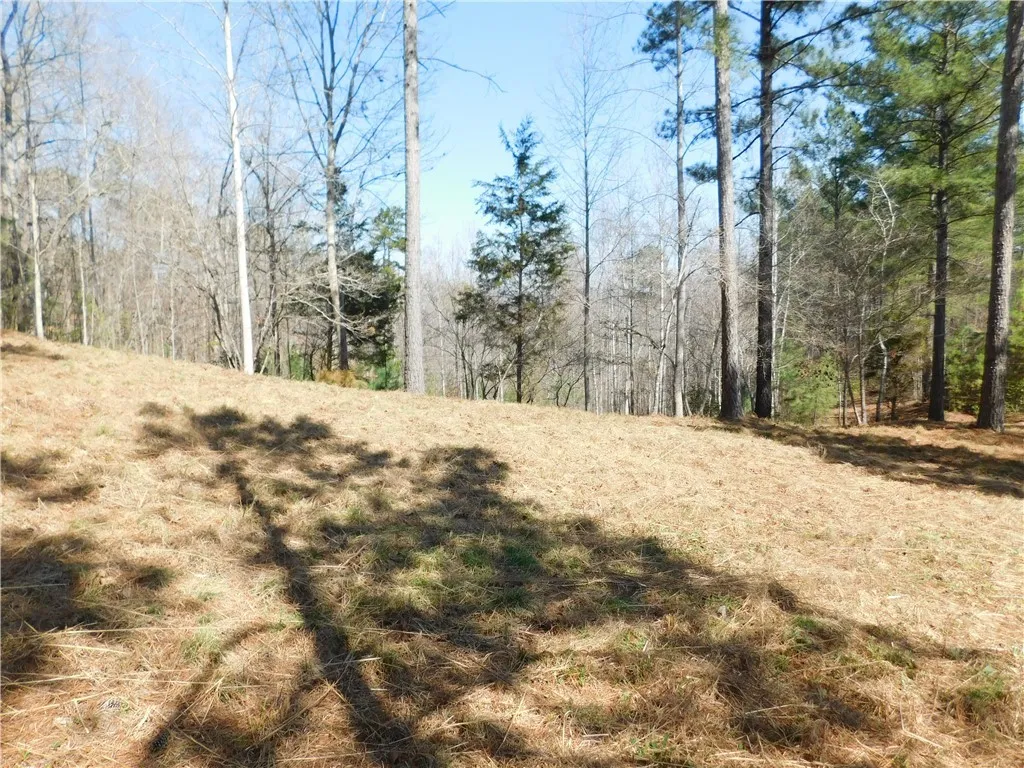 Property image 4 at 330 Knollwood Drive, Salem, SC 29676