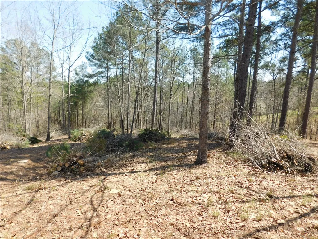 Property image 1 at 306 Eagle S Bend Trail, Salem, SC 29676