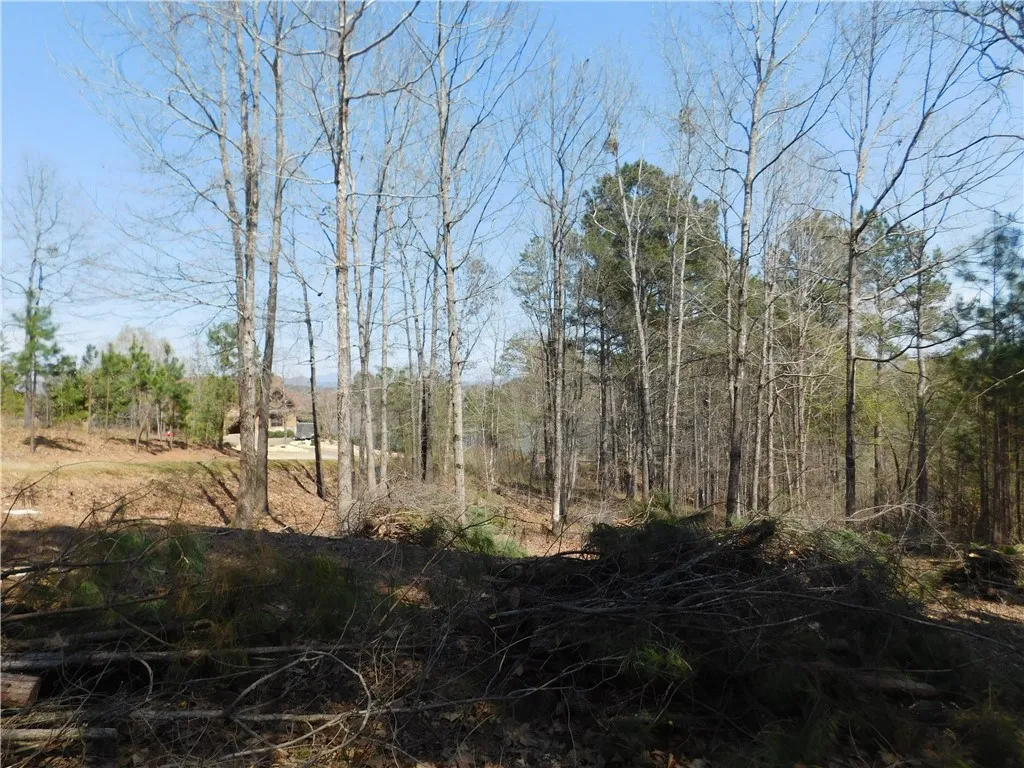 Property image 3 at 306 Eagle S Bend Trail, Salem, SC 29676