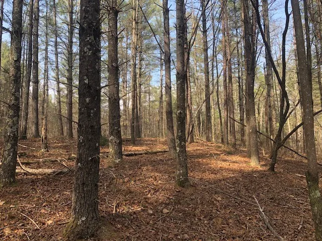 101 Dutchman S Pipe Trail