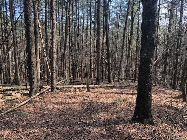 Property image 2 at 101 Dutchman S Pipe Trail, Sunset, SC 29685