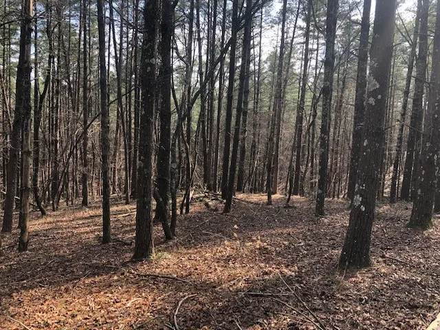 Property image 3 at 101 Dutchman S Pipe Trail, Sunset, SC 29685