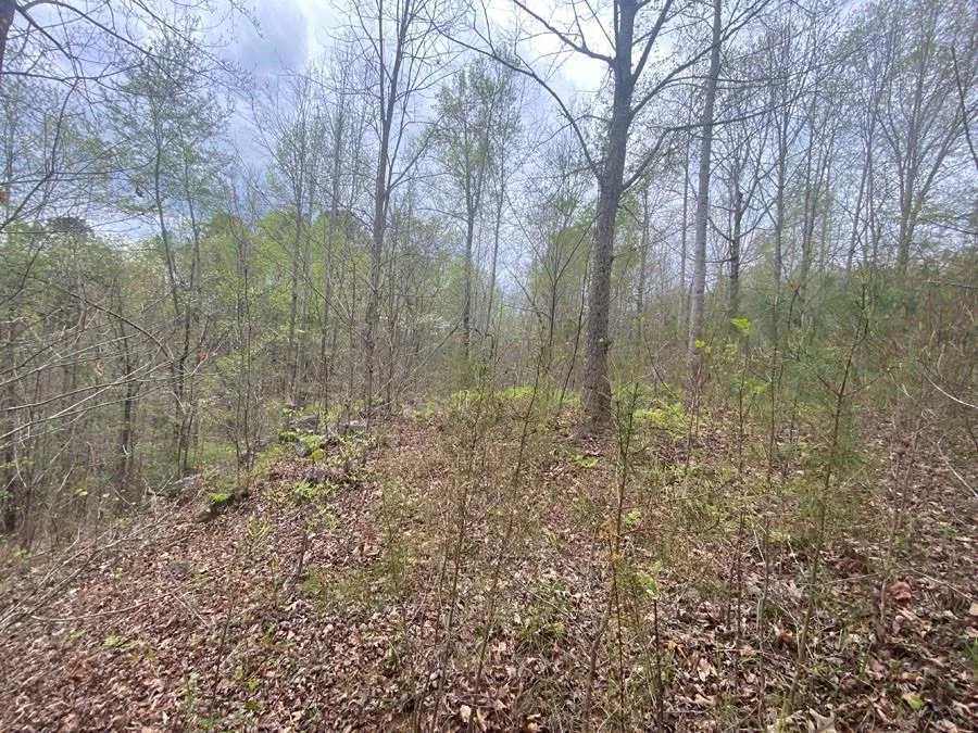580 Edgewater Trail