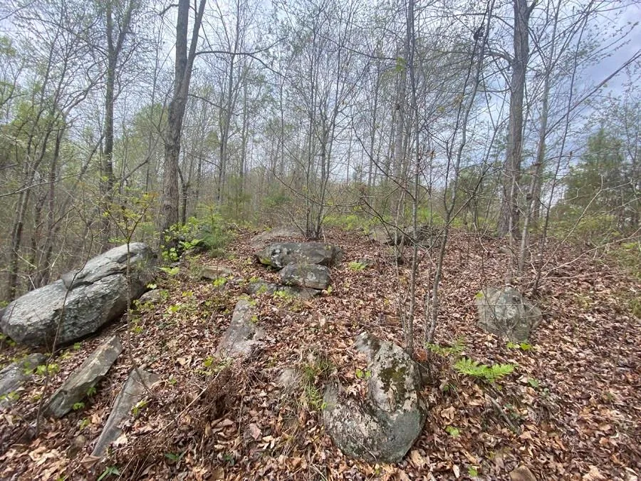 Property image 3 at 580 Edgewater Trail, Toccoa, GA 30577