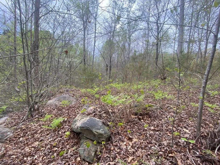 Property image 4 at 580 Edgewater Trail, Toccoa, GA 30577