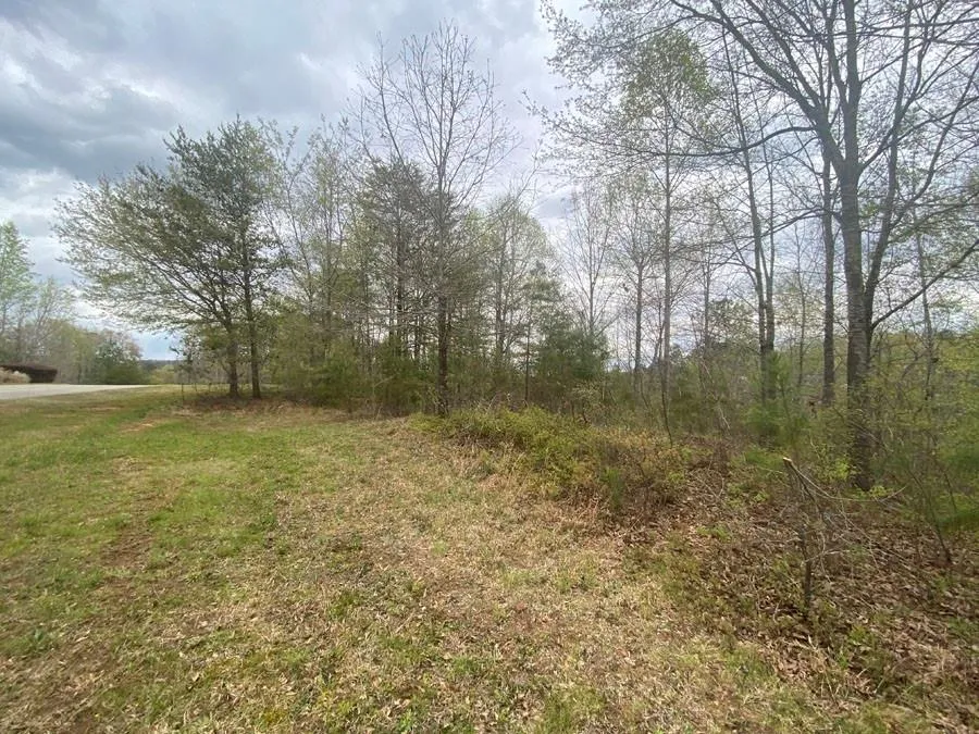 Property image 5 at 580 Edgewater Trail, Toccoa, GA 30577
