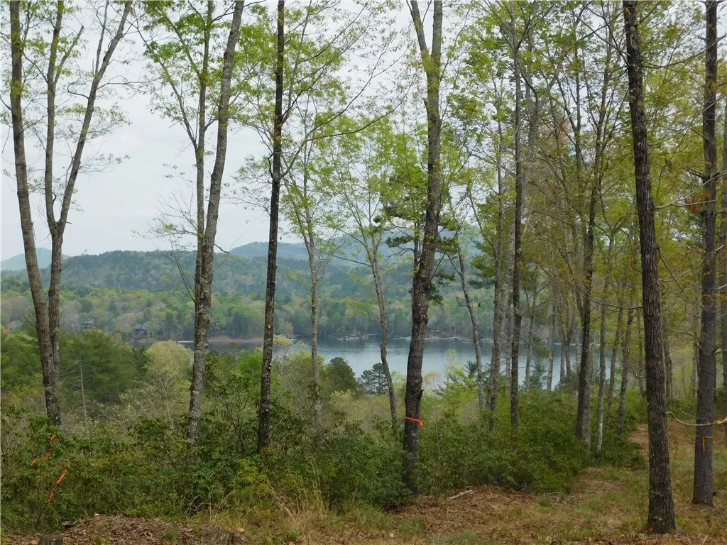 Property image 1 at Lot 1 Old Chapman Bridge Road, Salem, SC 29676