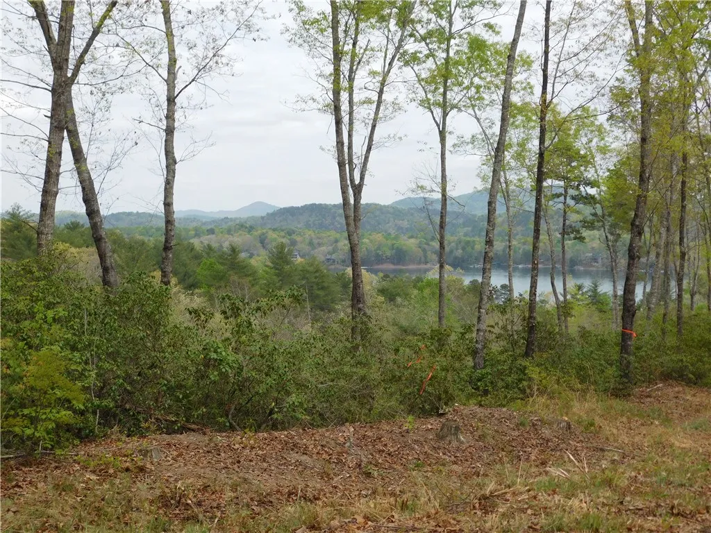 Property image 2 at Lot 1 Old Chapman Bridge Road, Salem, SC 29676