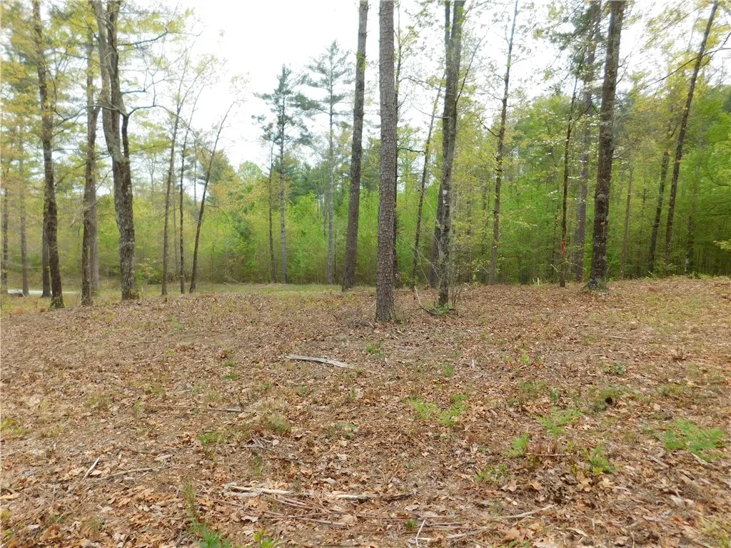 Property image 4 at Lot 1 Old Chapman Bridge Road, Salem, SC 29676