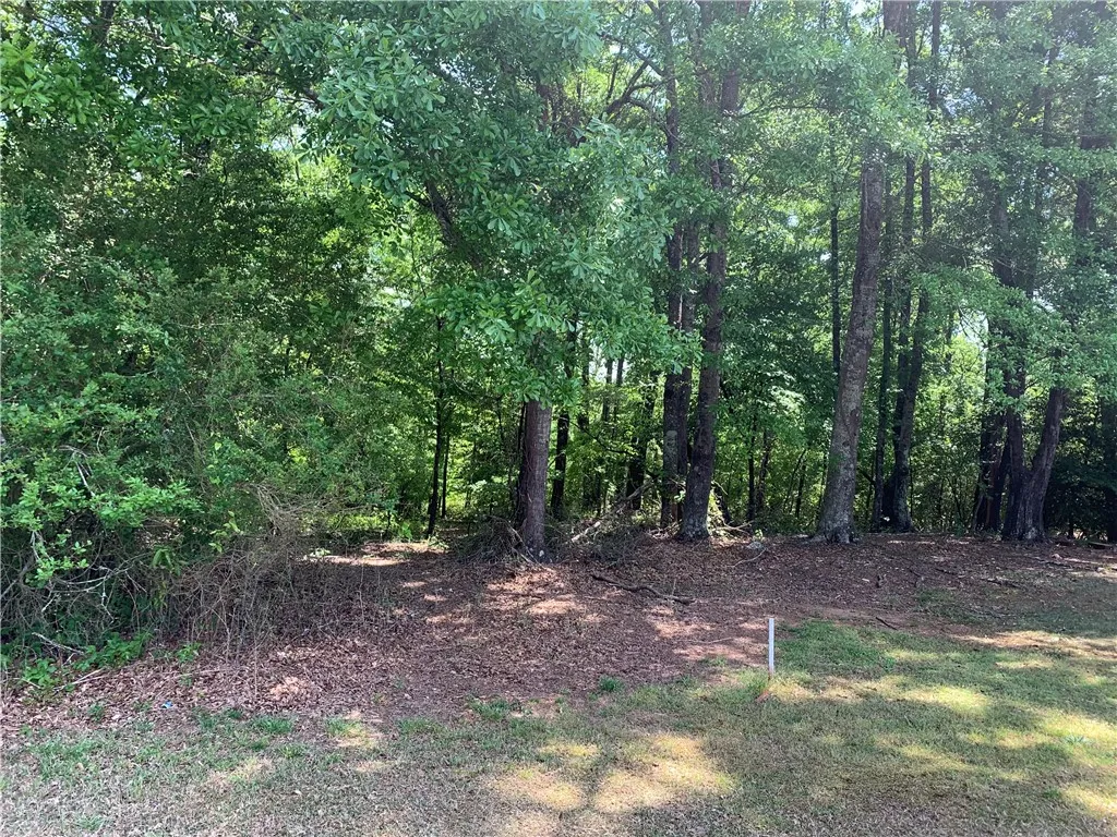Property image 4 at 117 Augusta National, Anderson, SC 29621