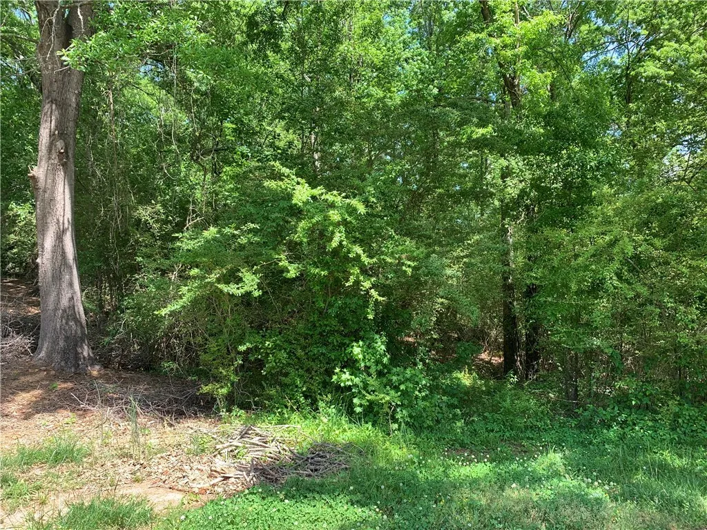Property image 5 at 117 Augusta National, Anderson, SC 29621
