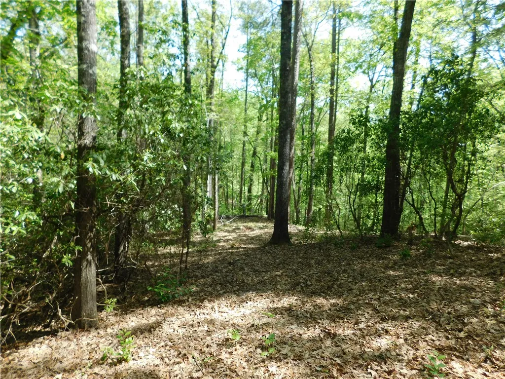 Property image 2 at 250 Cliffs Falls Parkway, Salem, SC 29676