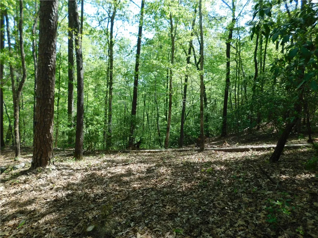 Property image 4 at 250 Cliffs Falls Parkway, Salem, SC 29676