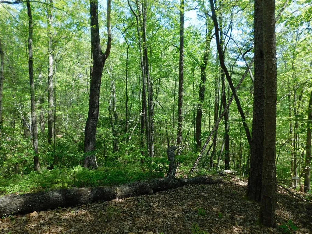 Property image 5 at 250 Cliffs Falls Parkway, Salem, SC 29676