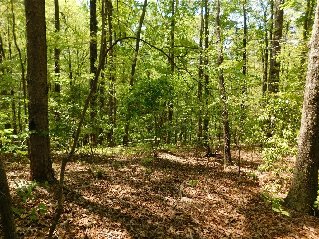 Property image 2 at 925 Mountain Breeze Lane, Salem, SC 29676