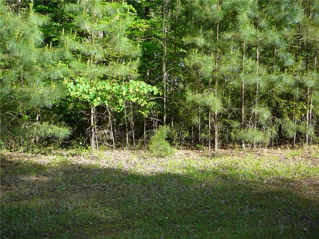 Property image 2 at 140 Waterside Drive, Iva, SC 29655