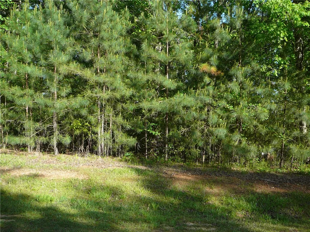 Property image 3 at 140 Waterside Drive, Iva, SC 29655
