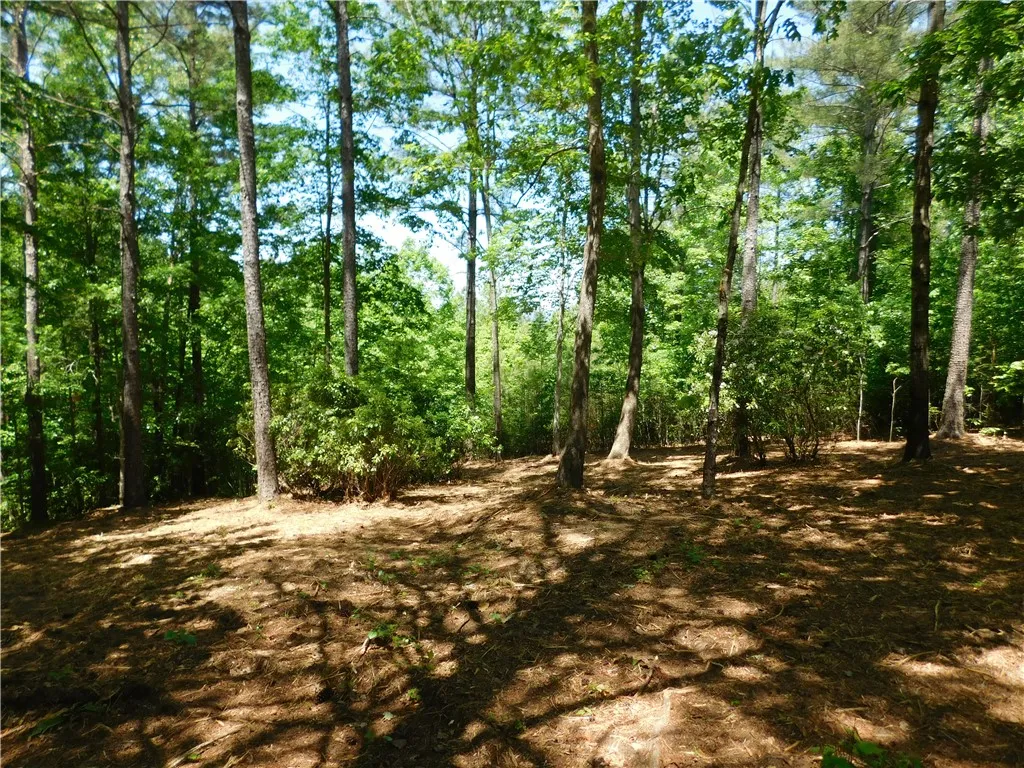 Property image 1 at 392 Cliffs South Parkway, Salem, SC 29676