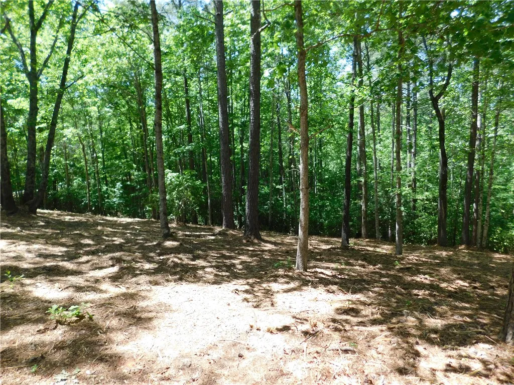 Property image 4 at 392 Cliffs South Parkway, Salem, SC 29676