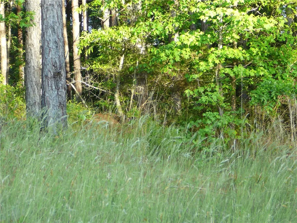 Property image 2 at Lt 53 Waterside Point, Abbeville, SC 29620