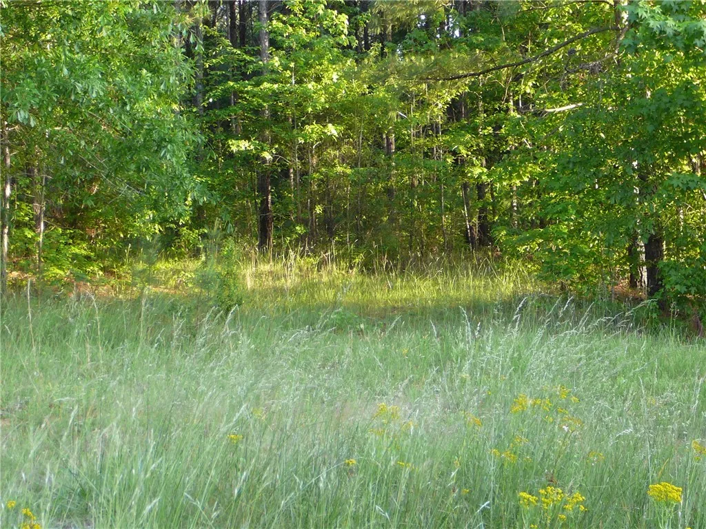 Property image 3 at Lt 53 Waterside Point, Abbeville, SC 29620