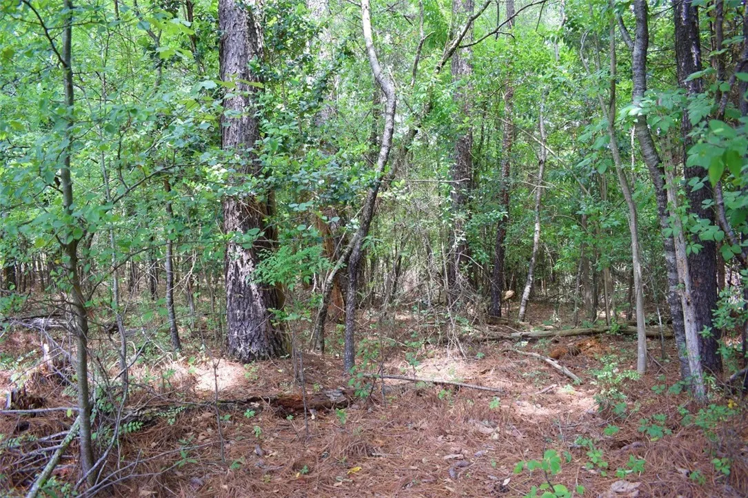 Property image 3 at 113 Leon Drive, Anderson, SC 29624